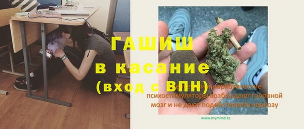 ECSTASY Алзамай