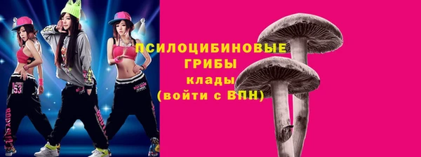 мяу мяу кристалл Алексин