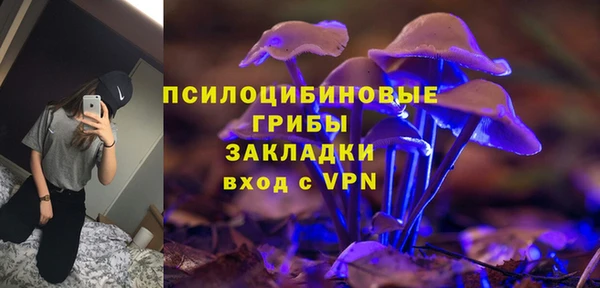 ECSTASY Алзамай